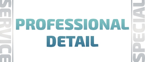 Professional Detail Special