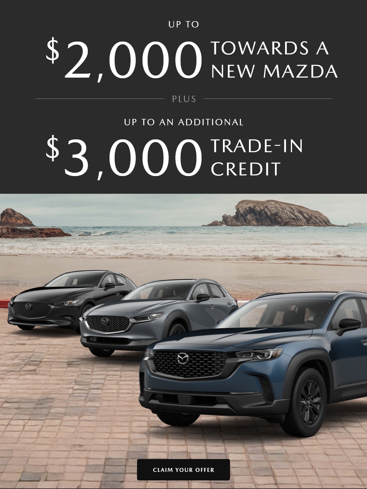 Bonus Offer