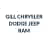 gillchryslerdodgejeepramstage.com favicon