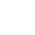 Search new Maserati inventory Gill Automotive Group  CA