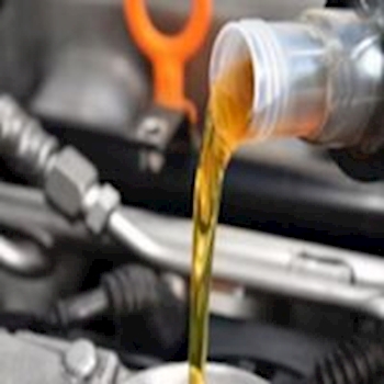 Synthetic Oil & Filter 