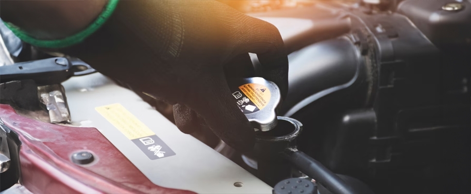 Fuel System Economy Special