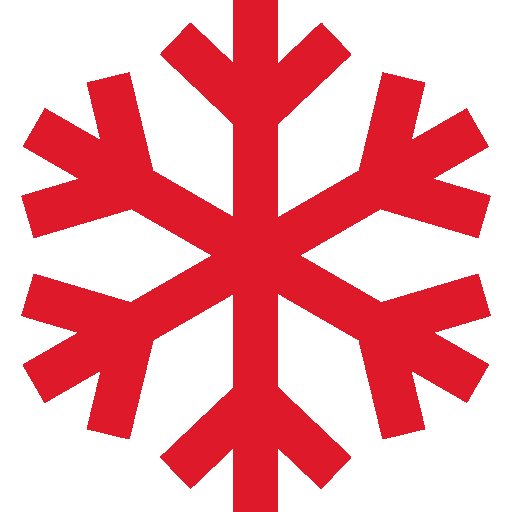express icon