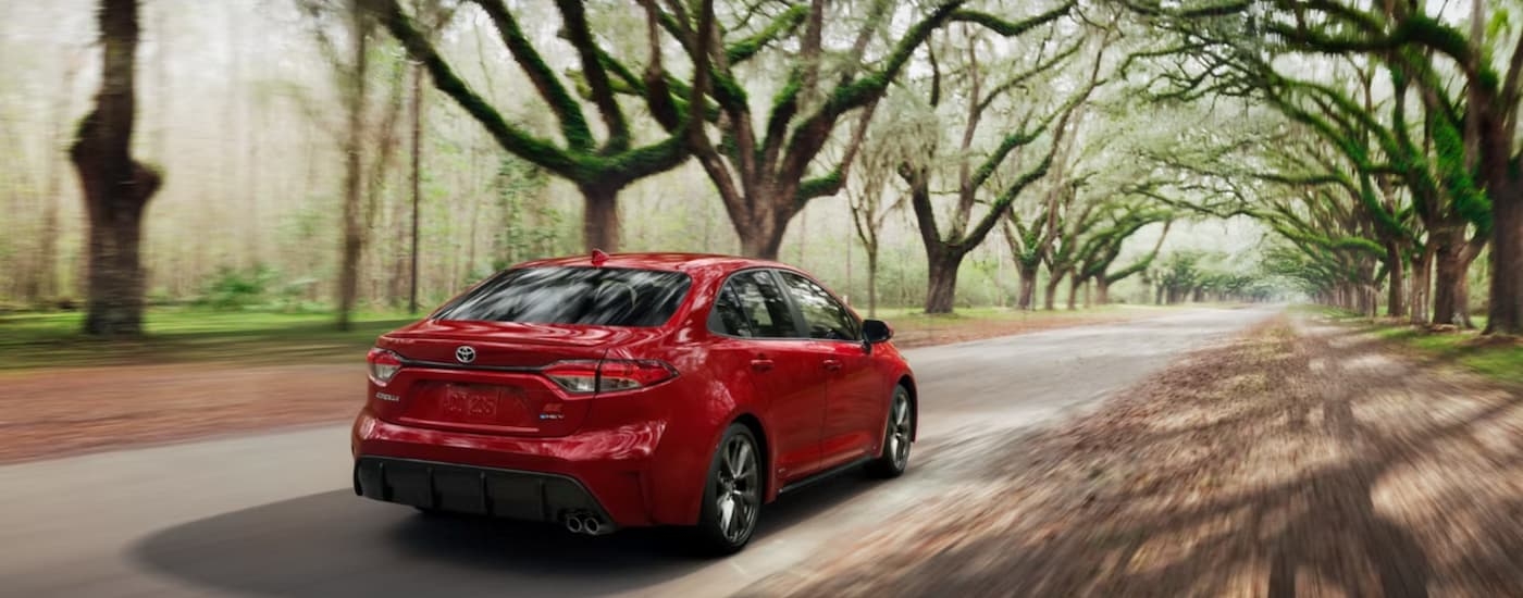 A red 2026 Toyota Corolla driving down a tree lined road