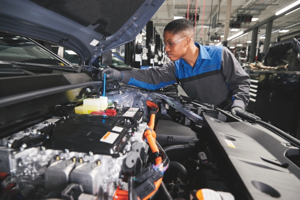 Brake Fluid Exchange