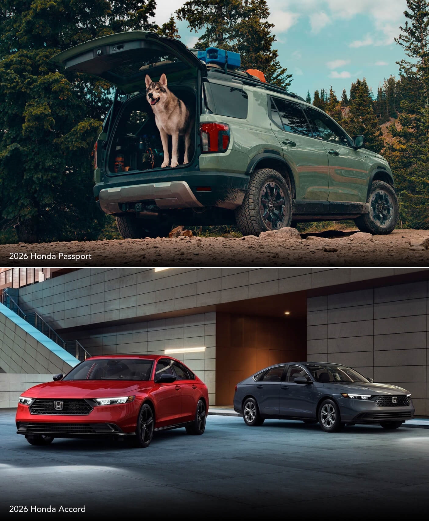 Which Lifestyles Are Elevated by Each Brand?