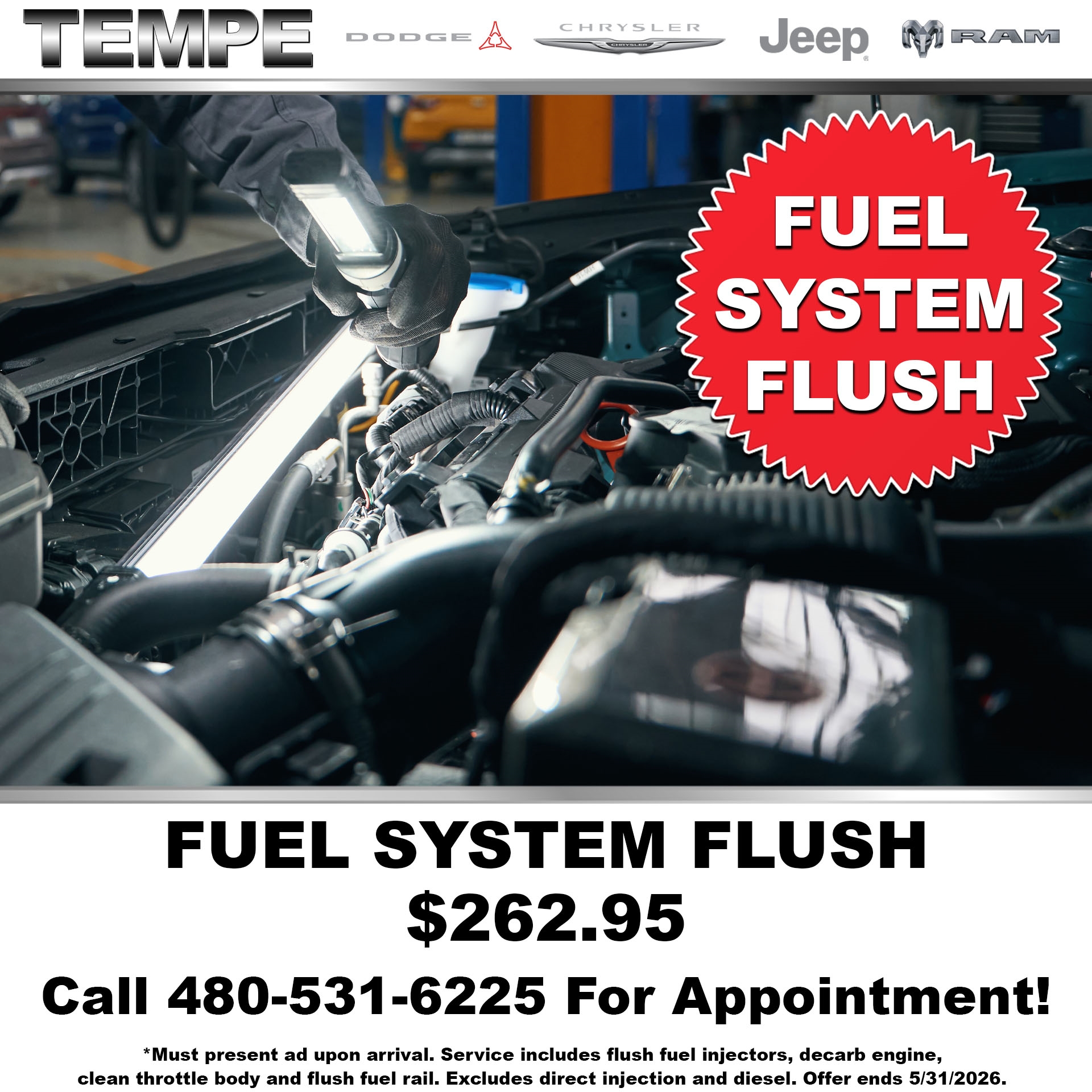 Fuel System Flush 