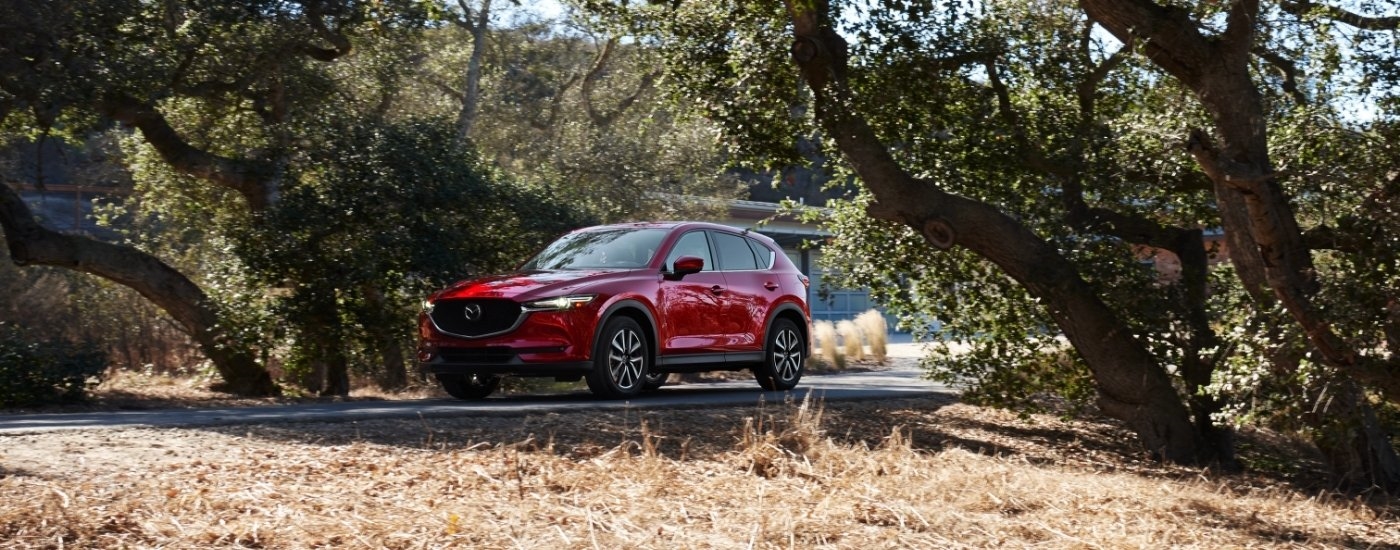 Red 2019 Mazda CX-5 driving on a tree-lined road