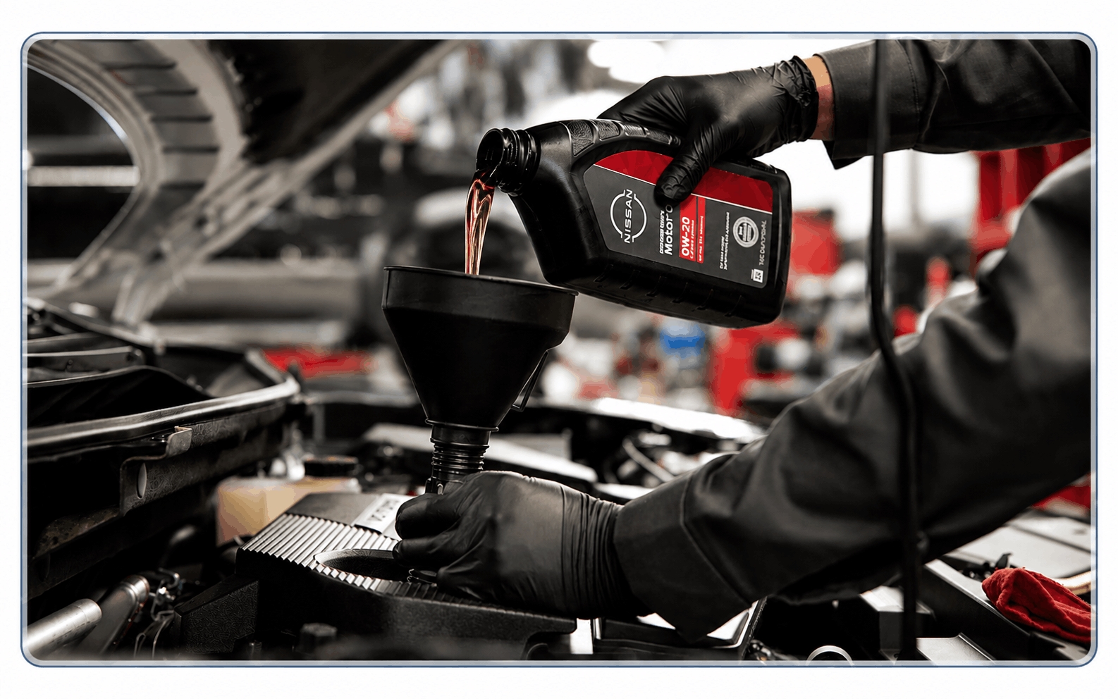 Oil Change & Rotation Special