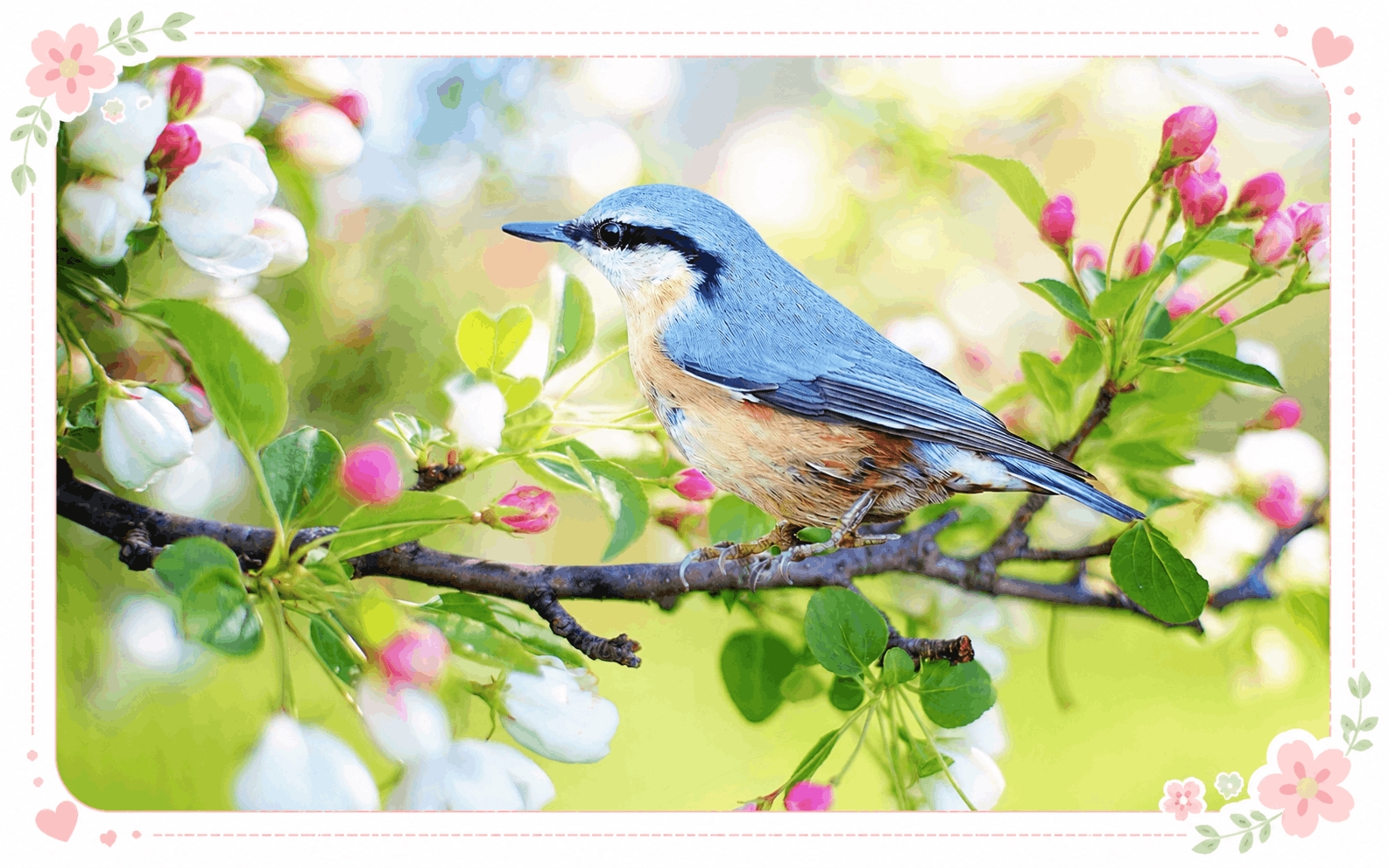 Spring Into Summer Special