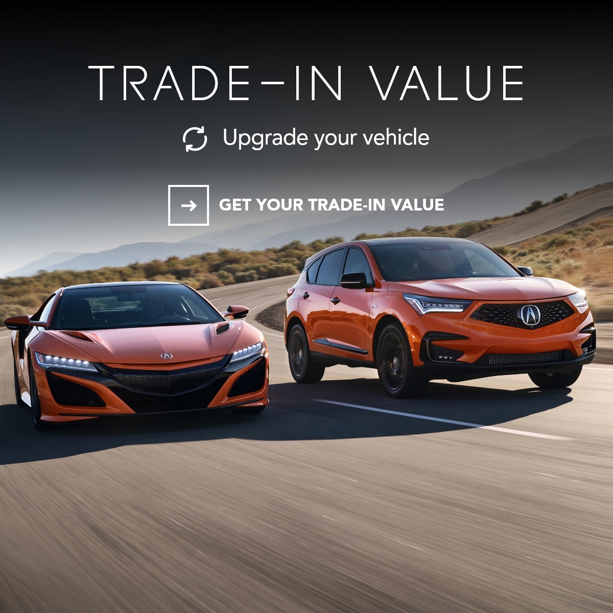 trade