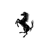 Visit Our Ferrari Website