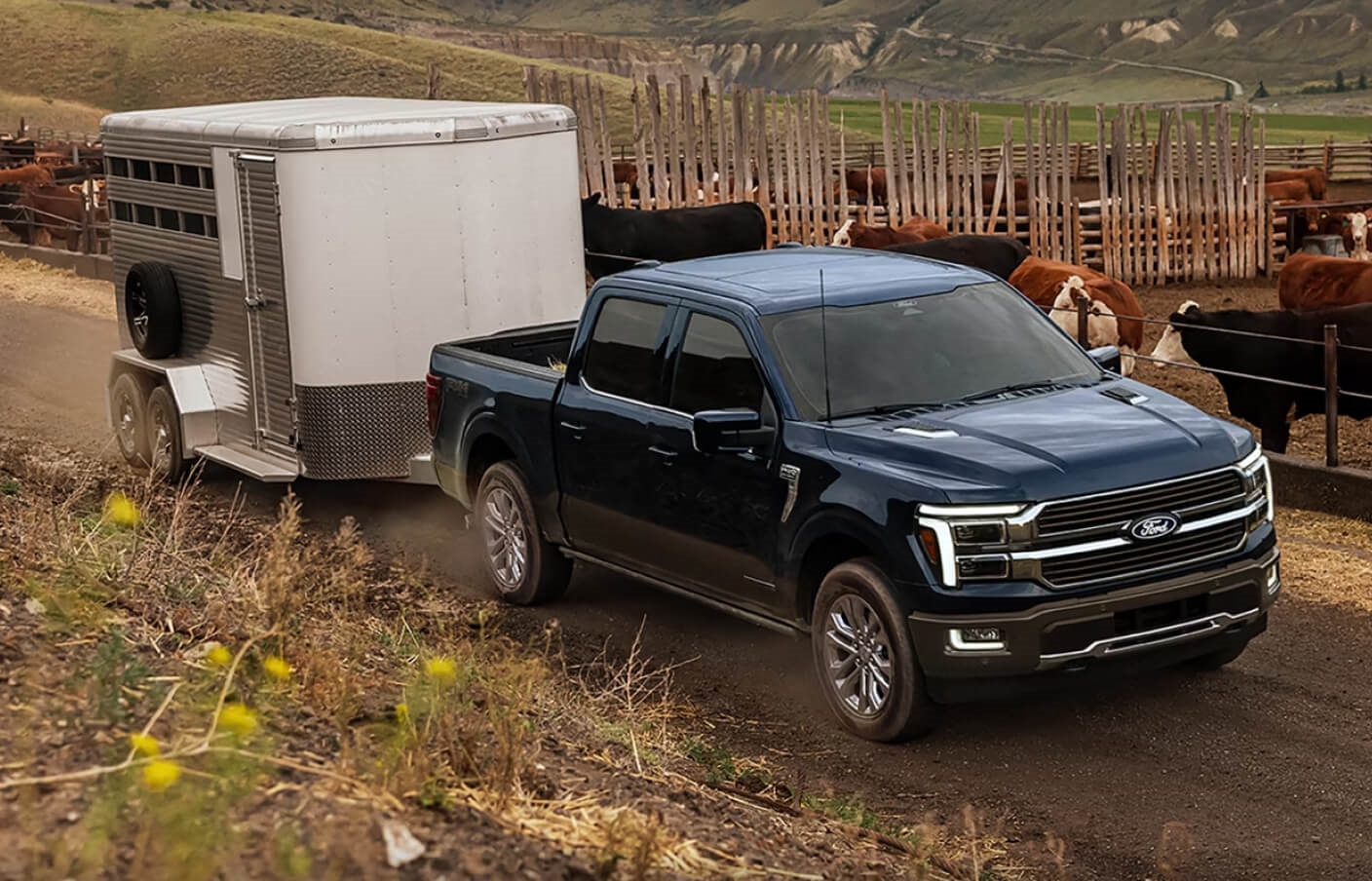 A 2026 Ford F-150® King Ranch® model hitched to a horse trailer
