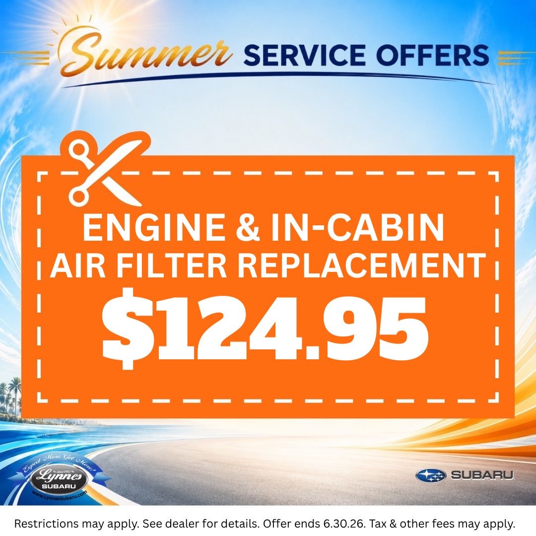 Engine & In Cabin Air Filter