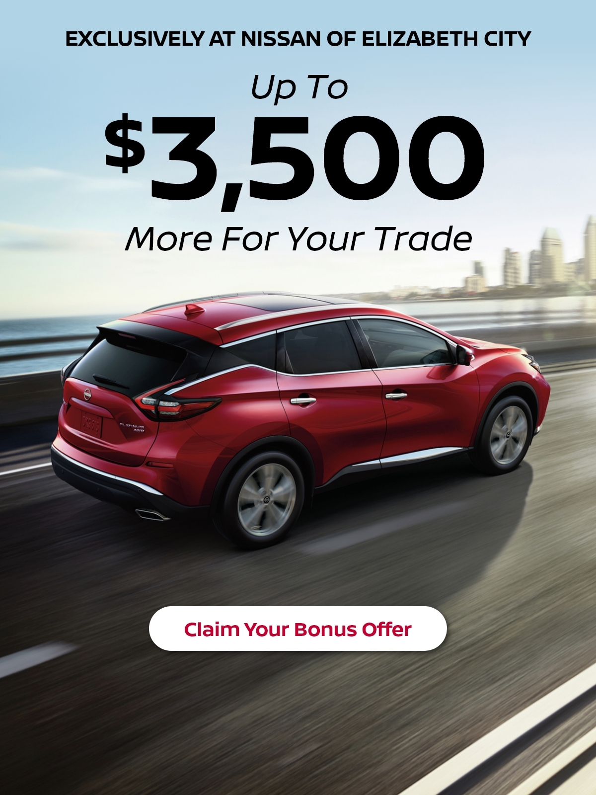 Bonus Offer
