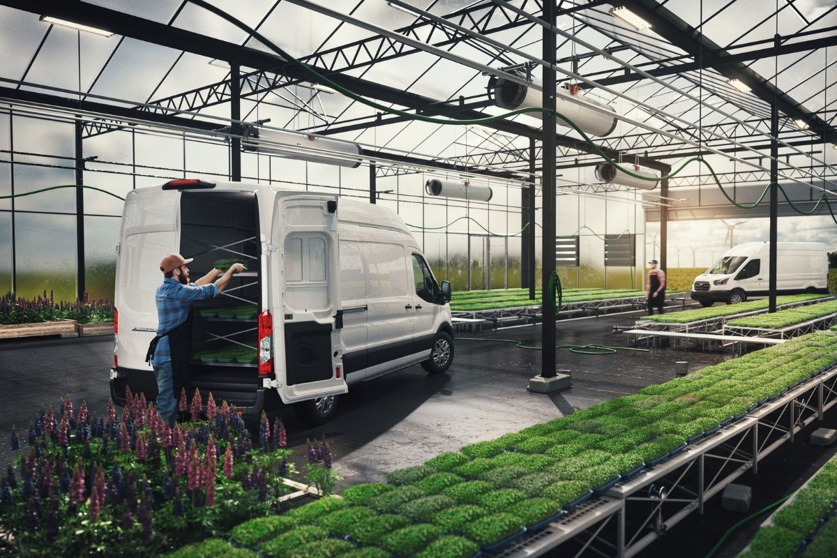 Ford Transit Cargo Vans used in a commercial greenhouse operation, highlighting efficient transportation solutions for growing businesses.