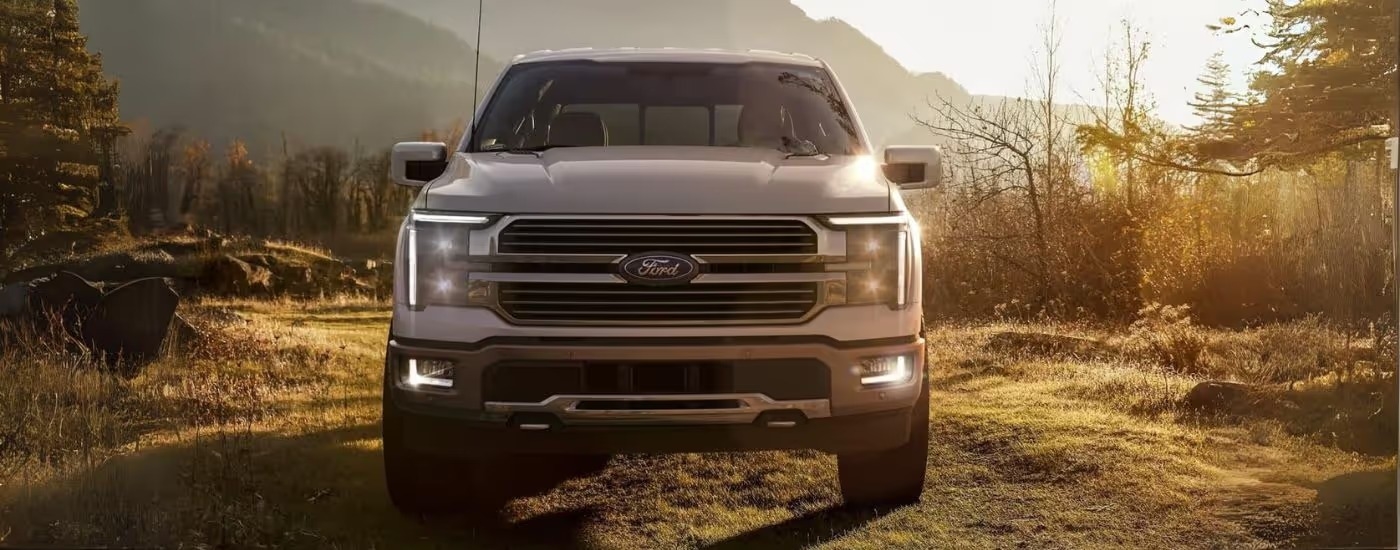 A silver 2024 Ford F-150 King Ranch parked in a clearing.