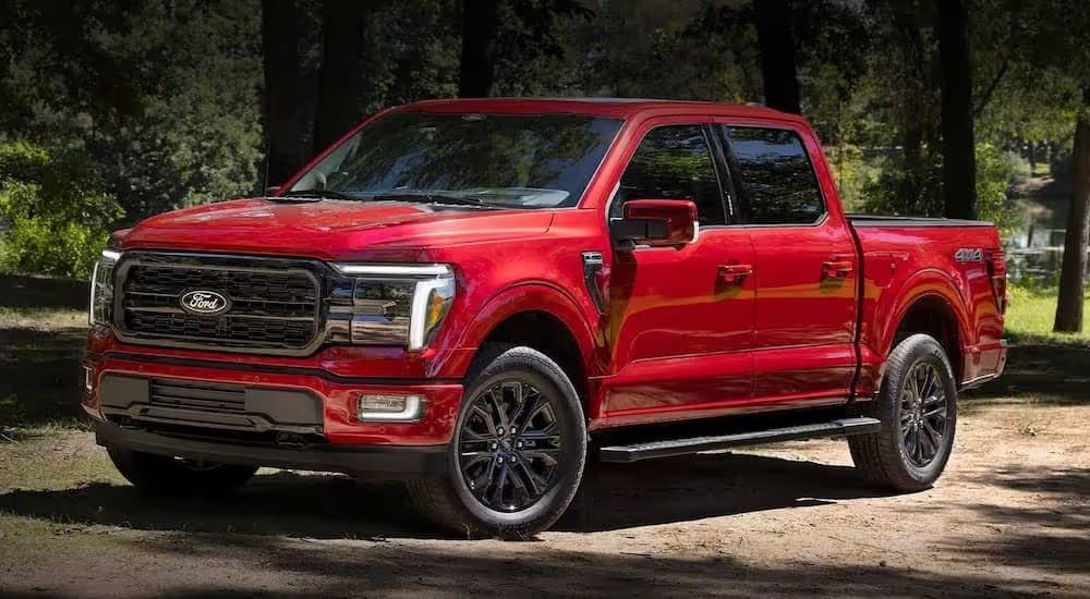 A red 2024 Ford F-150 shown parked in a forest.