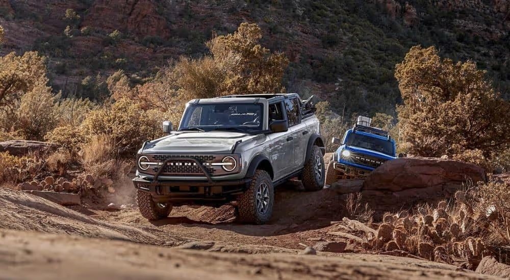 A silver and a blue 2024 Ford Bronco are shown driving off-road.