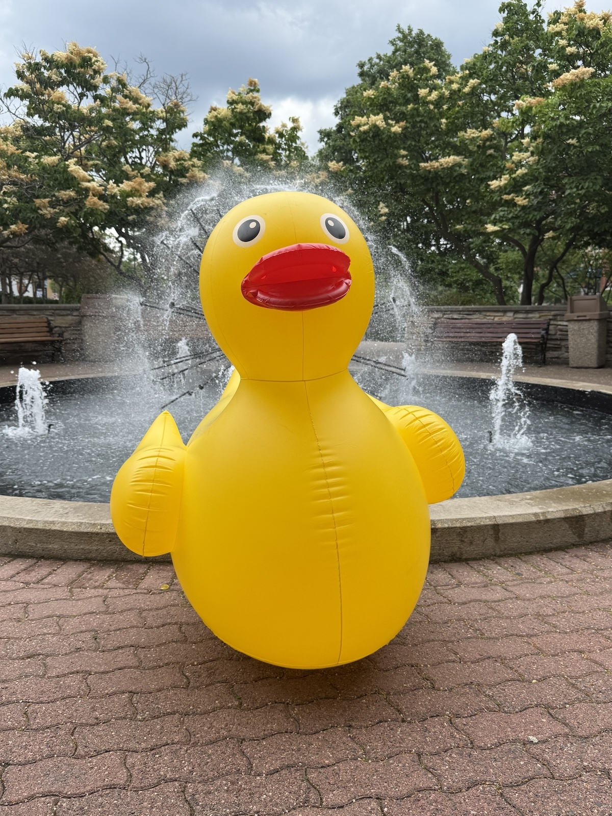 Castle Jeep ducks handed out at the Naperville Duck Race