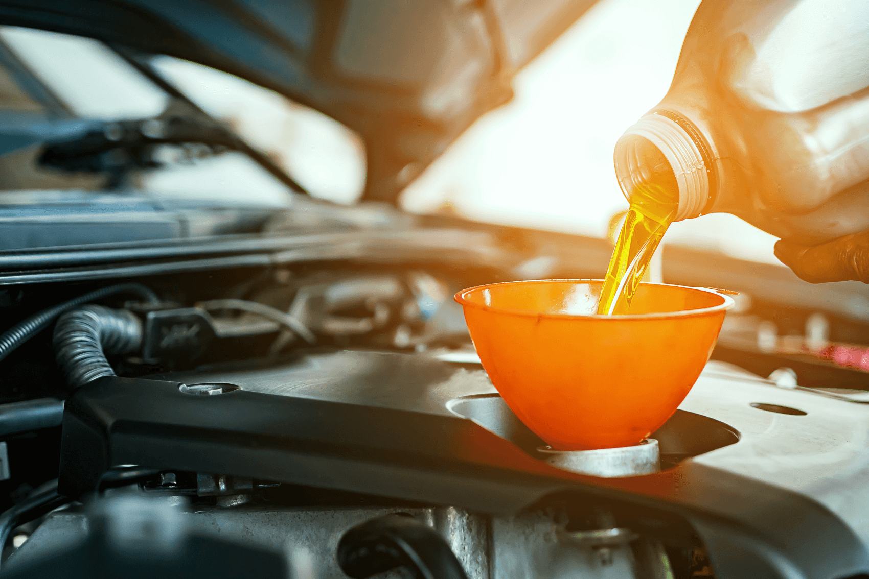 Oil Change near Me