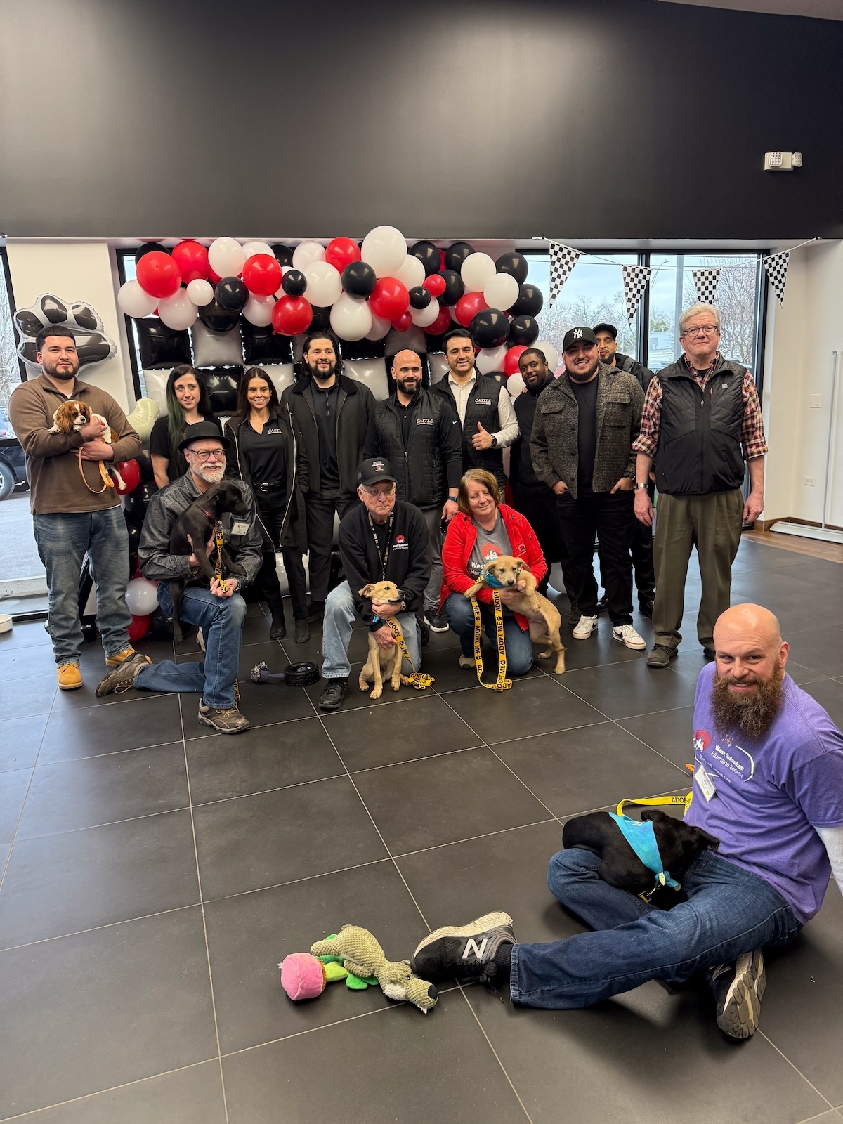Castle Mazda Downers Grove team with adoptable pets at the Pit Stop for Pets event