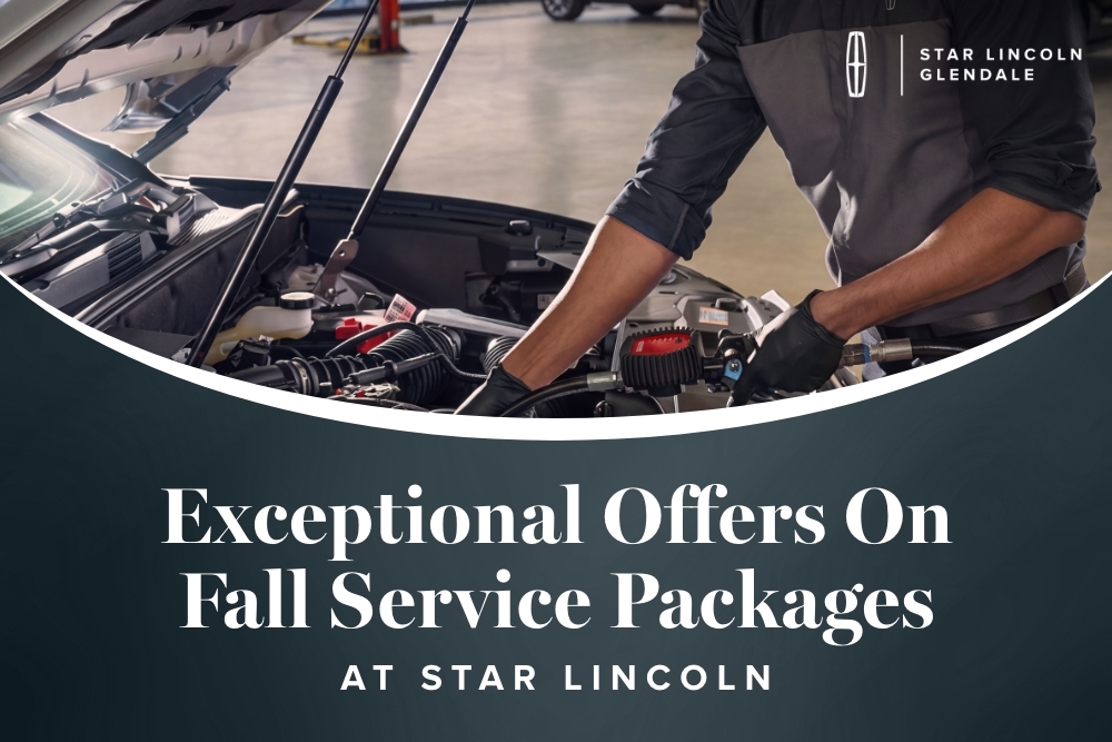 Fall Service Package