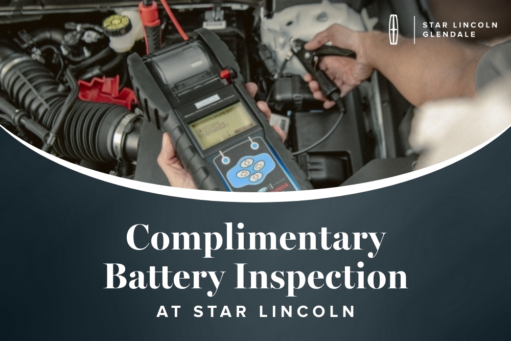 Battery Inspection
