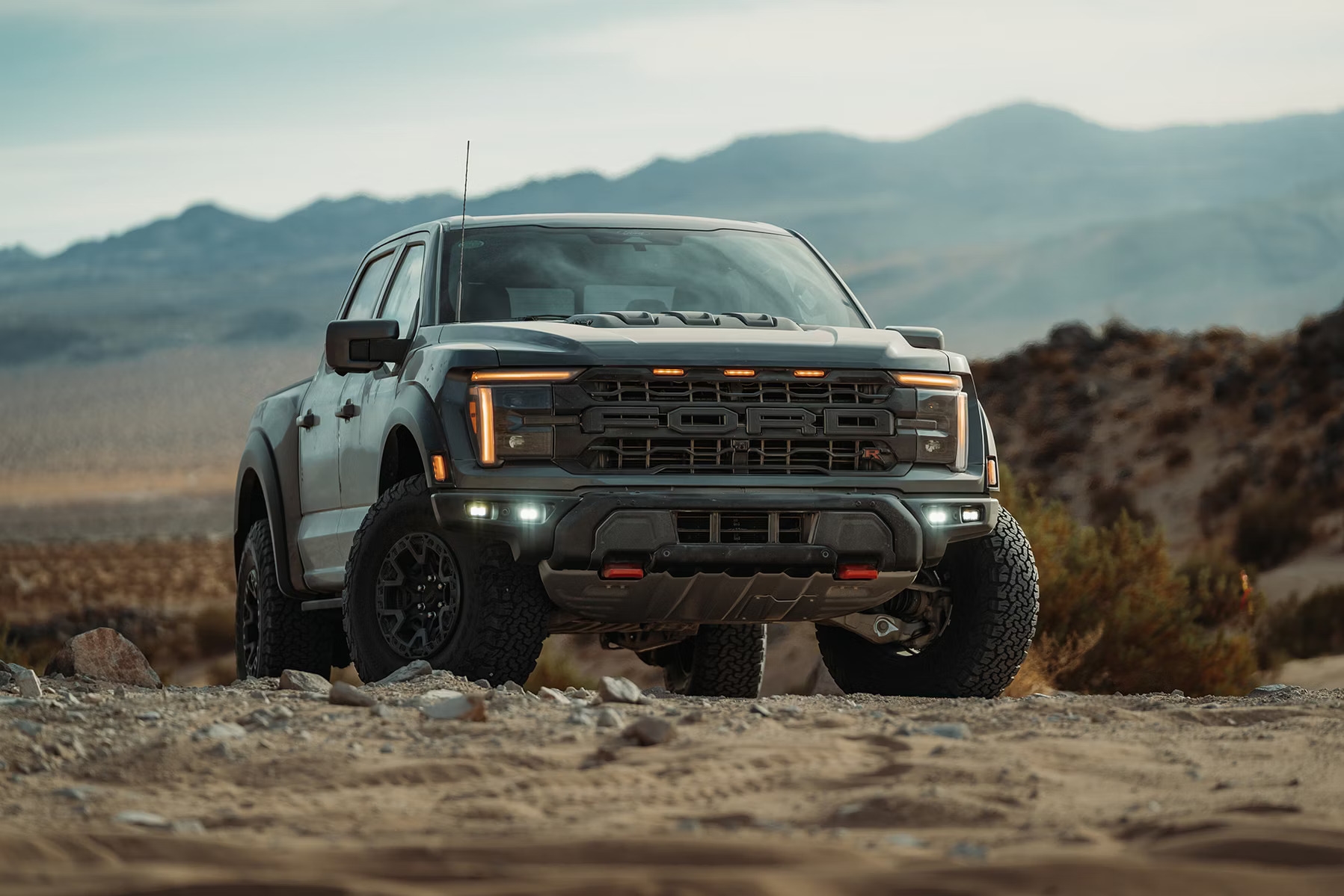 Raptor grille