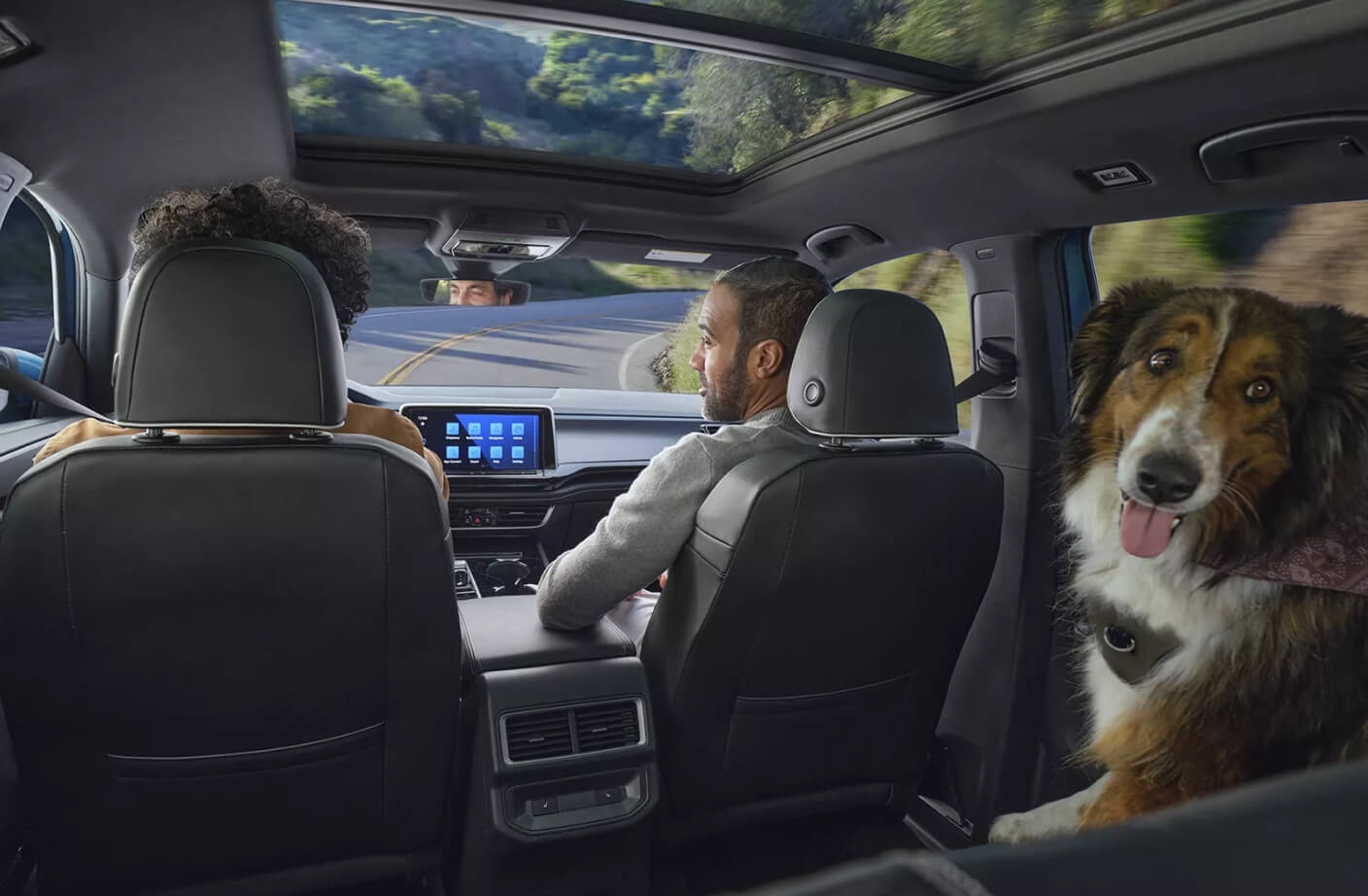 Interior shot of two men driving a VW down a windy, tree-lined road. A dog in the back seat looks on.