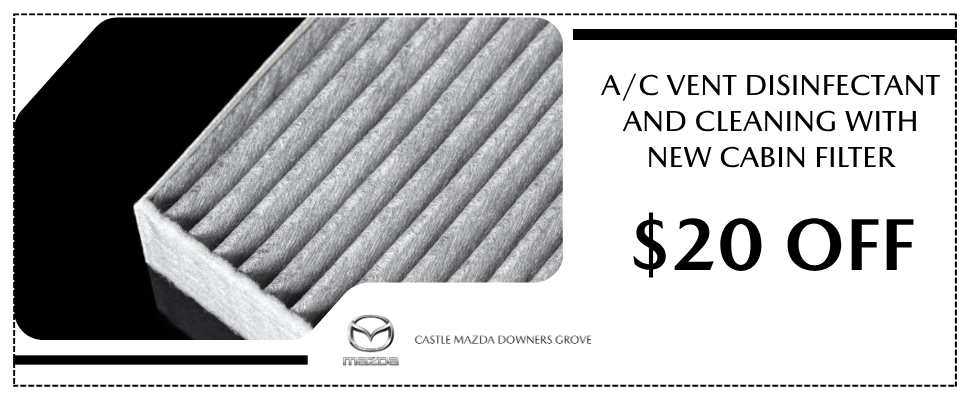 A/C Vent Disinfectant & Clean