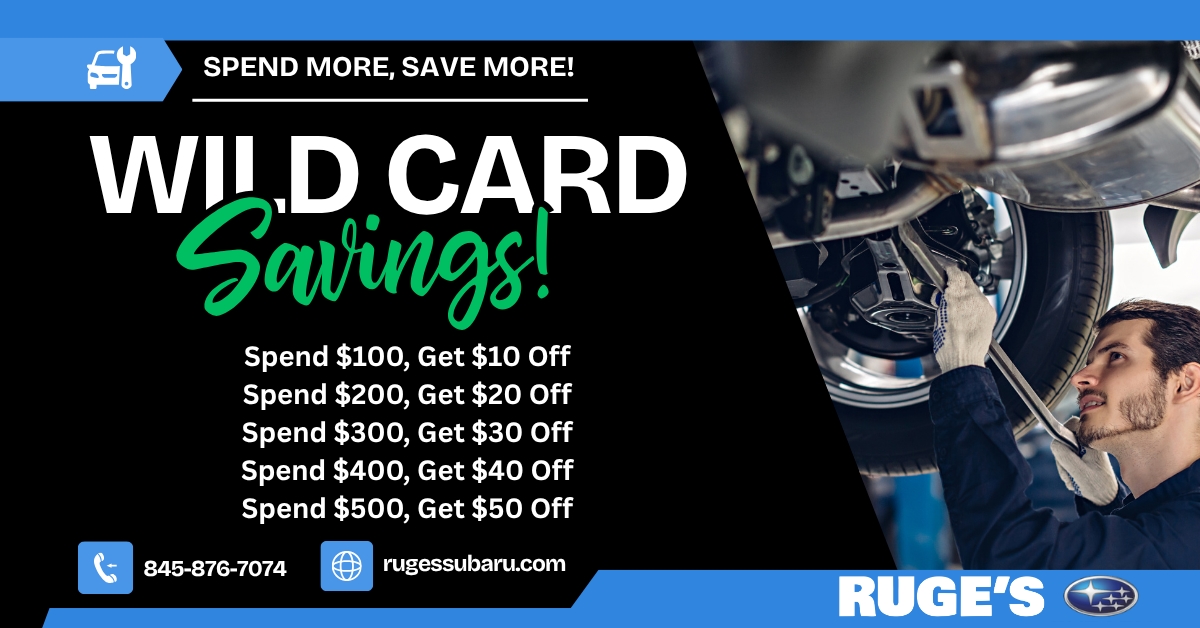 Wild Card Special!