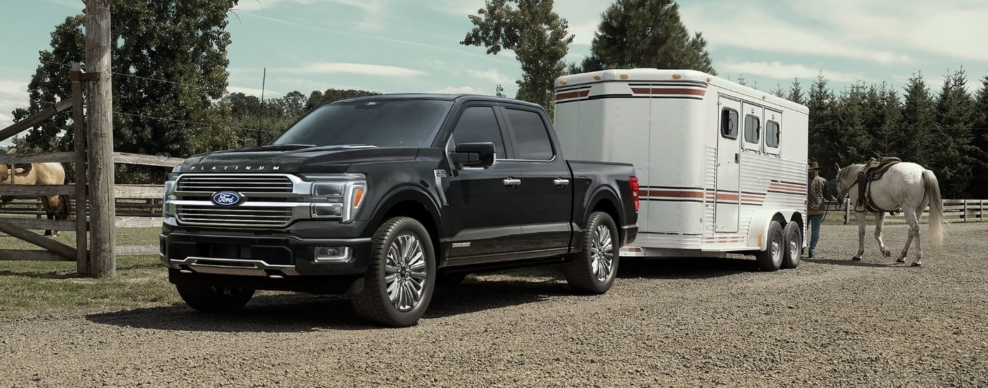 Black Ford F-150 Platinum towing a horse trailer on a ranch.
