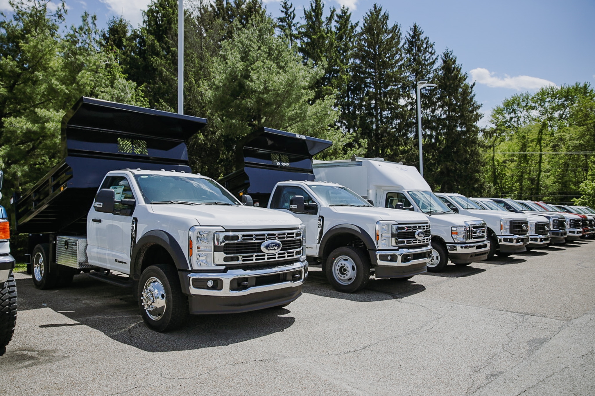 Ford Lineup