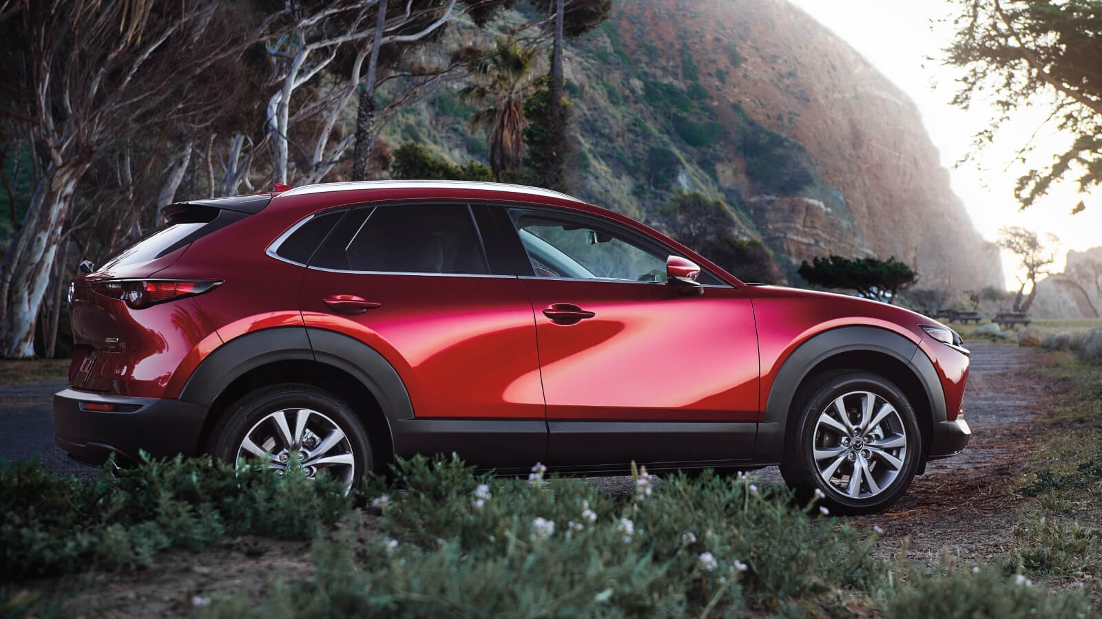 Mazda CX-30 and CX-5 crossovers with IIHS TOP SAFETY PICK Plus recognition