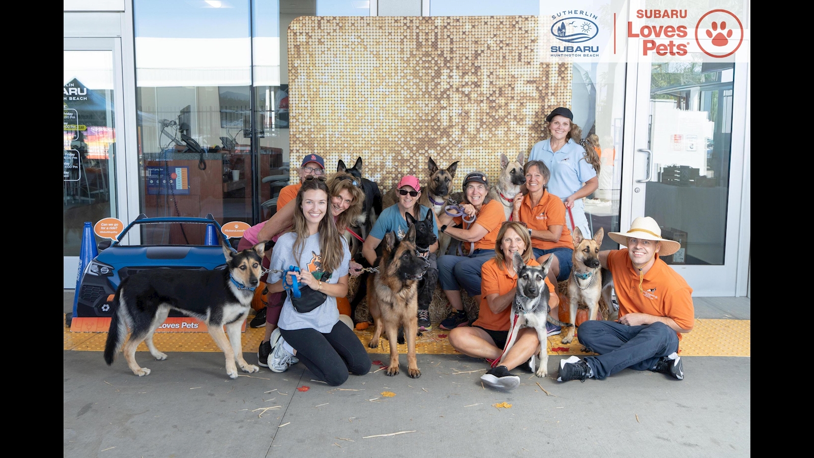 Subaru Loves Pets Event