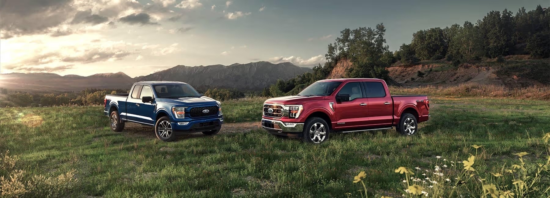 Ford inventory