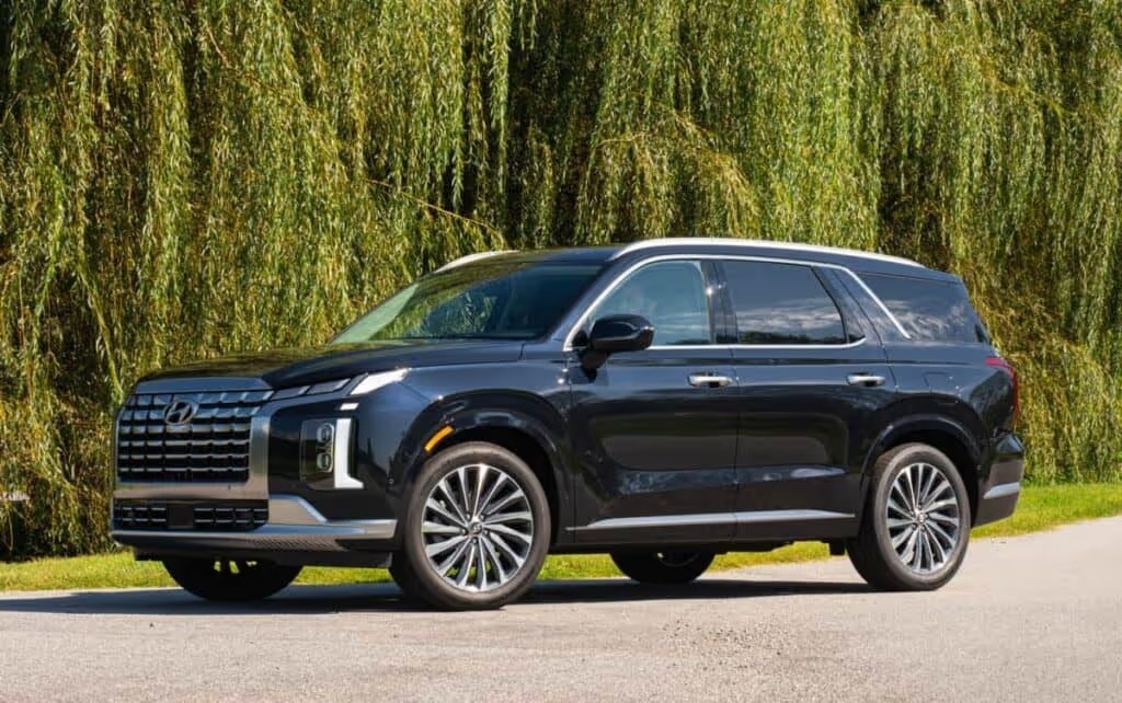 2025 Hyundai PALISADE parked in front a row of weeping willows