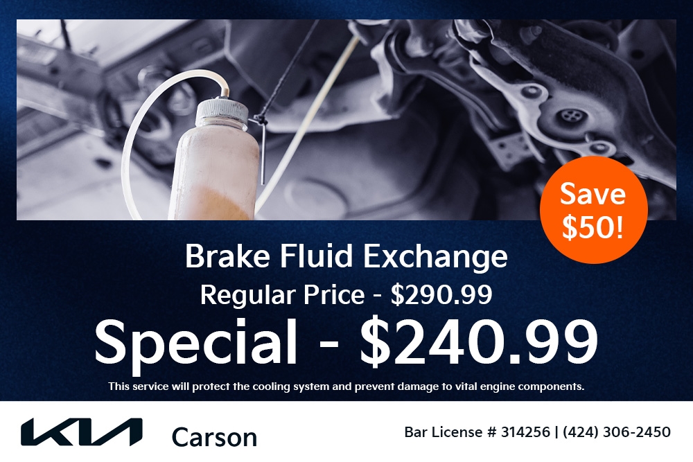 Brake Fluid Exchange