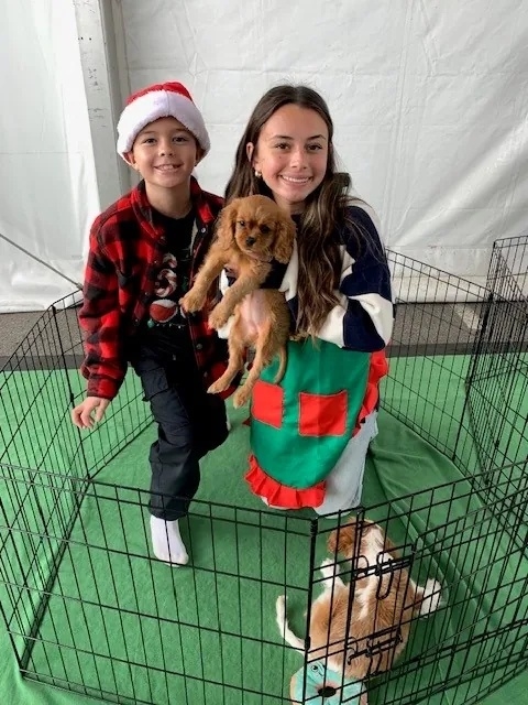 Toy Drive community event photo 2
