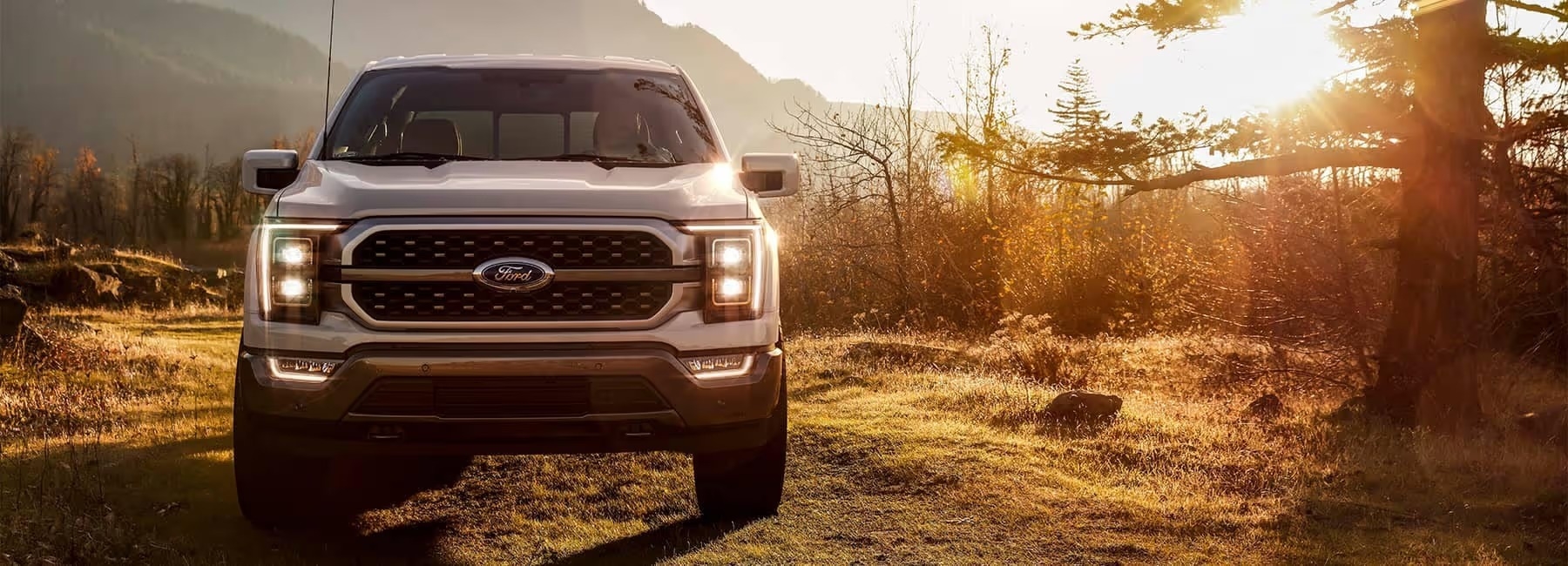 Ford service