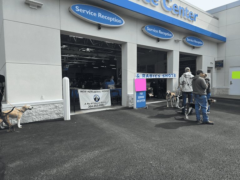 Lester Raines Honda South Charleston WV