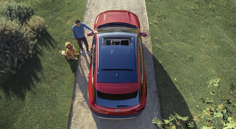 Seen from above, a man walking his dog is talking with someone in a red 2023 Ford Escape with open sunroof