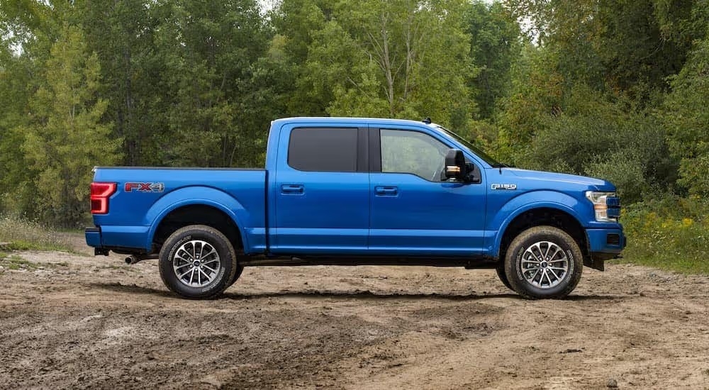 Side view of a blue 2019 Ford F-150 parked on a dirt clearing in the woods