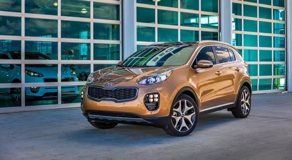An orange 2019 Kia Sportage is shown from the side parked in front of a car dealership.