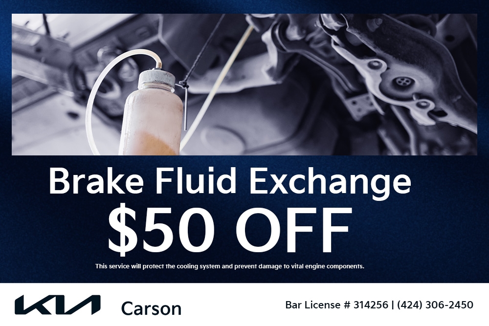 Brake Fluid Exchange
