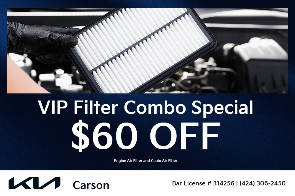 VIP Filter Combo Special