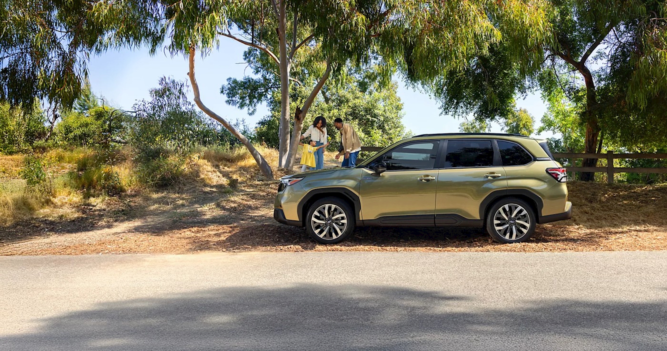 A family stopped alongside their Subaru Forester on a tree-lined back road, the kind of Iron Springs and Senator Highway outing the trim ladder is built around.
