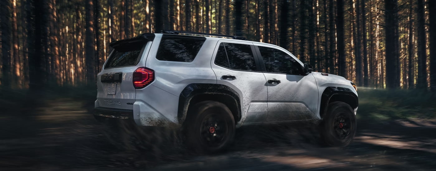 Rear of a white 2026 Toyota 4Runner parked off-road in a forest.