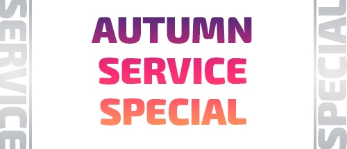 Fall Ready Bundle